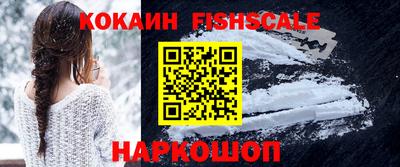 индика Можга