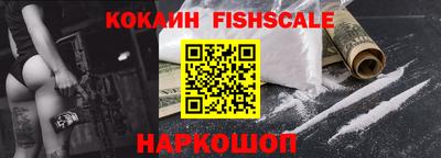 индика Можга