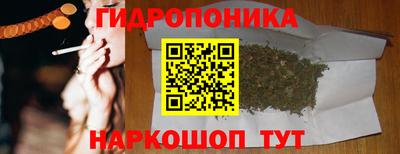 Альфа ПВП Моздок
