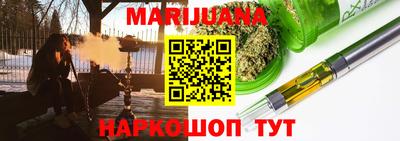 индика Можга