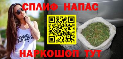 Альфа ПВП Моздок