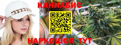 индика Можга