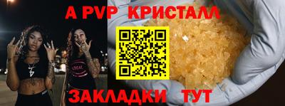 индика Можга