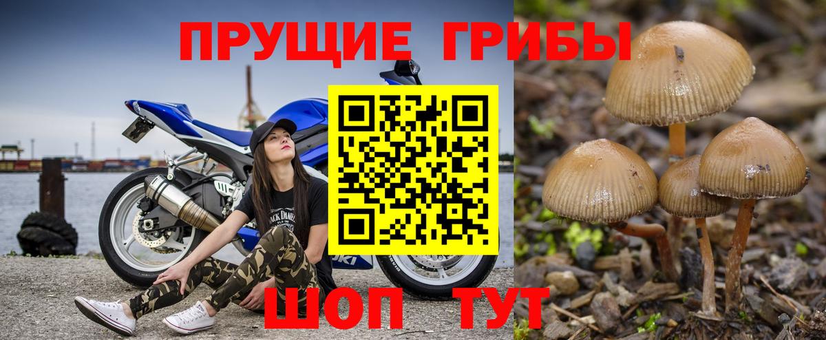 Псилоцибиновые грибы ЛСД  Галлюциногенные грибы мицелий  Сафоново  Вход с VPN 