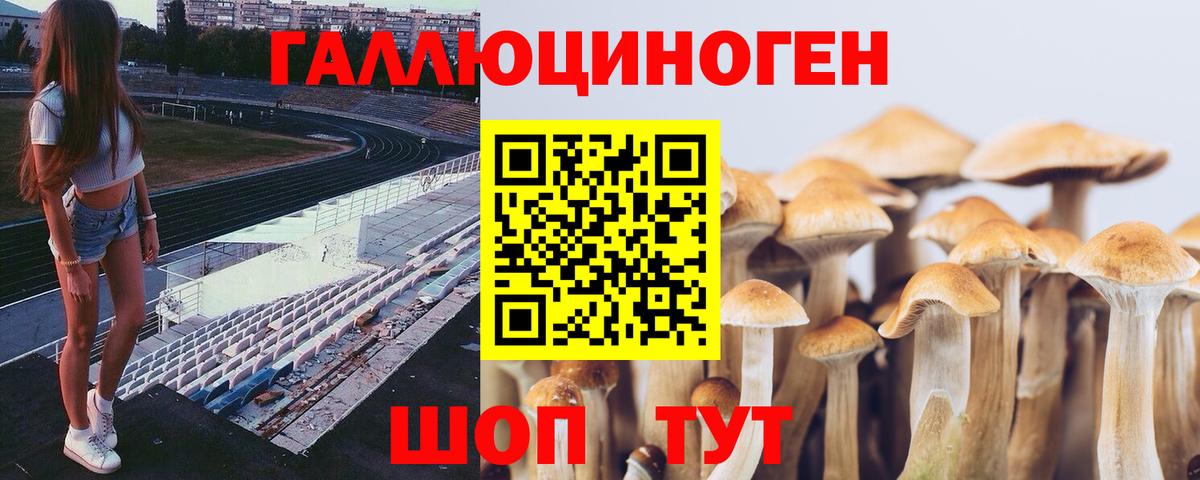 Галлюциногенные грибы Magic Shrooms Сафоново